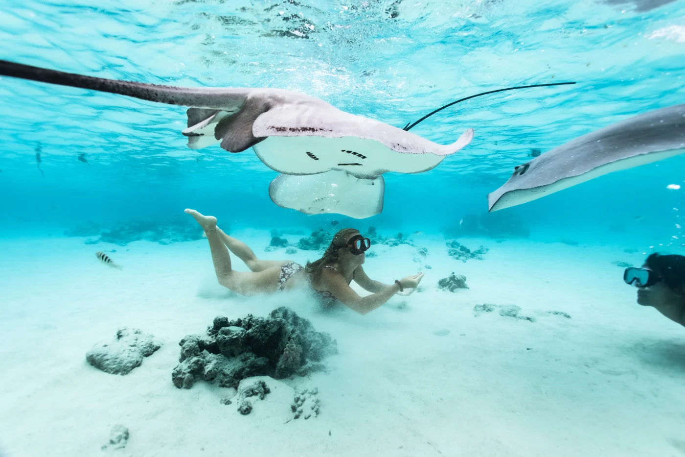 A freediver swimming with rays beneath turquoise water